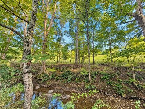 0 Colgin Road Howard OH 43028