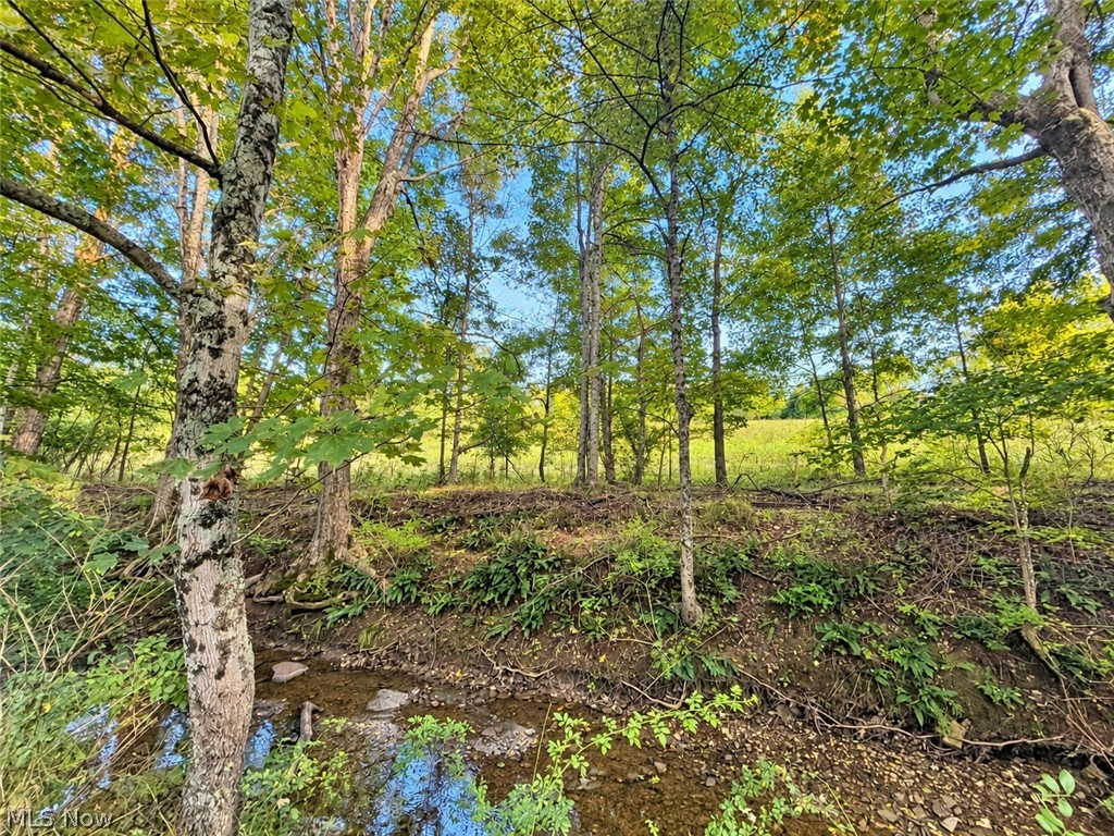 0 Colgin Road Howard OH 43028
