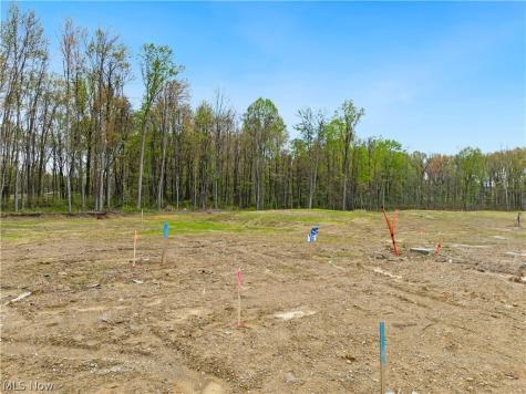 9525 River Birch Run Brecksville OH 44141