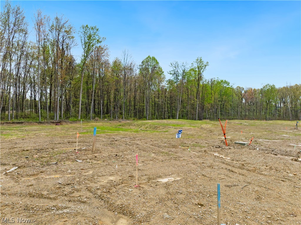 9525 River Birch Run Brecksville OH 44141