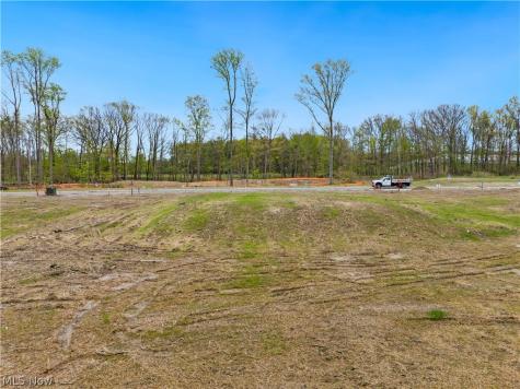 9525 River Birch Run Brecksville OH 44141