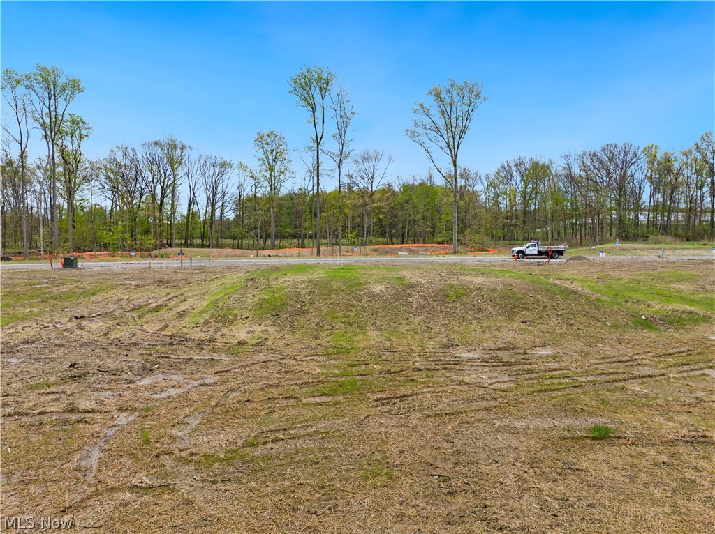 9525 River Birch Run Brecksville OH 44141