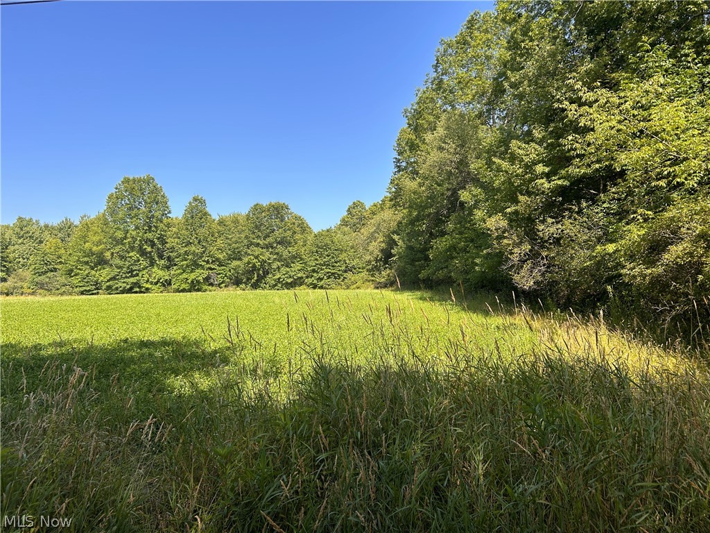 Wilson Lane Lowellville OH 44436