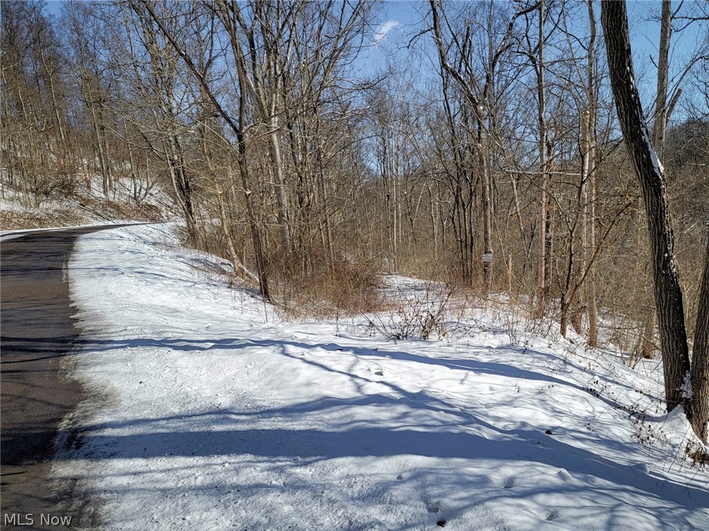 0 Tract 11 Miltonsburg-calais Road Woodsfield OH 43793