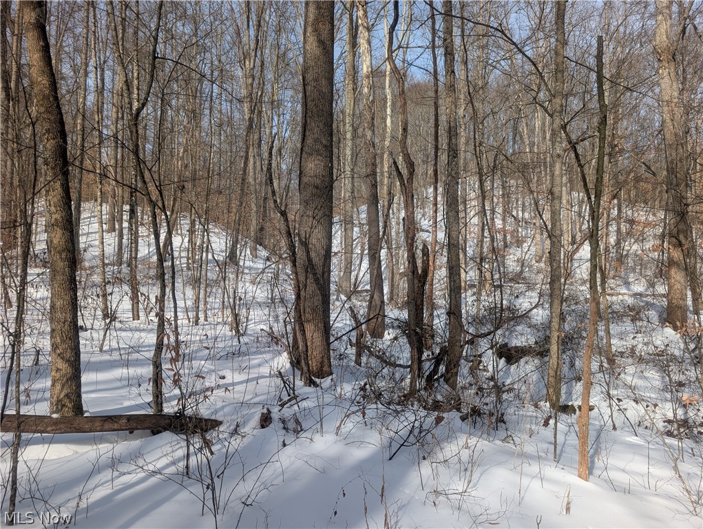 0 Tract 11 Miltonsburg-calais Road Woodsfield OH 43793