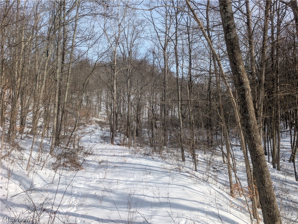 0 Tract 11 Miltonsburg-calais Road Woodsfield OH 43793