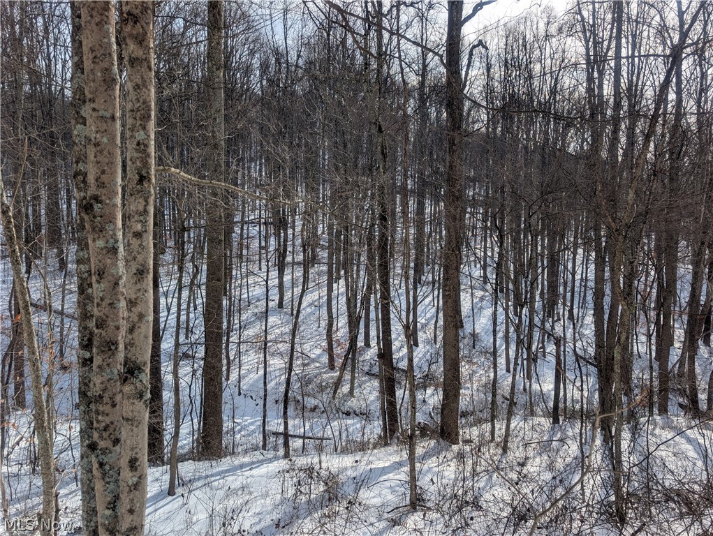 0 Tract 11 Miltonsburg-calais Road Woodsfield OH 43793