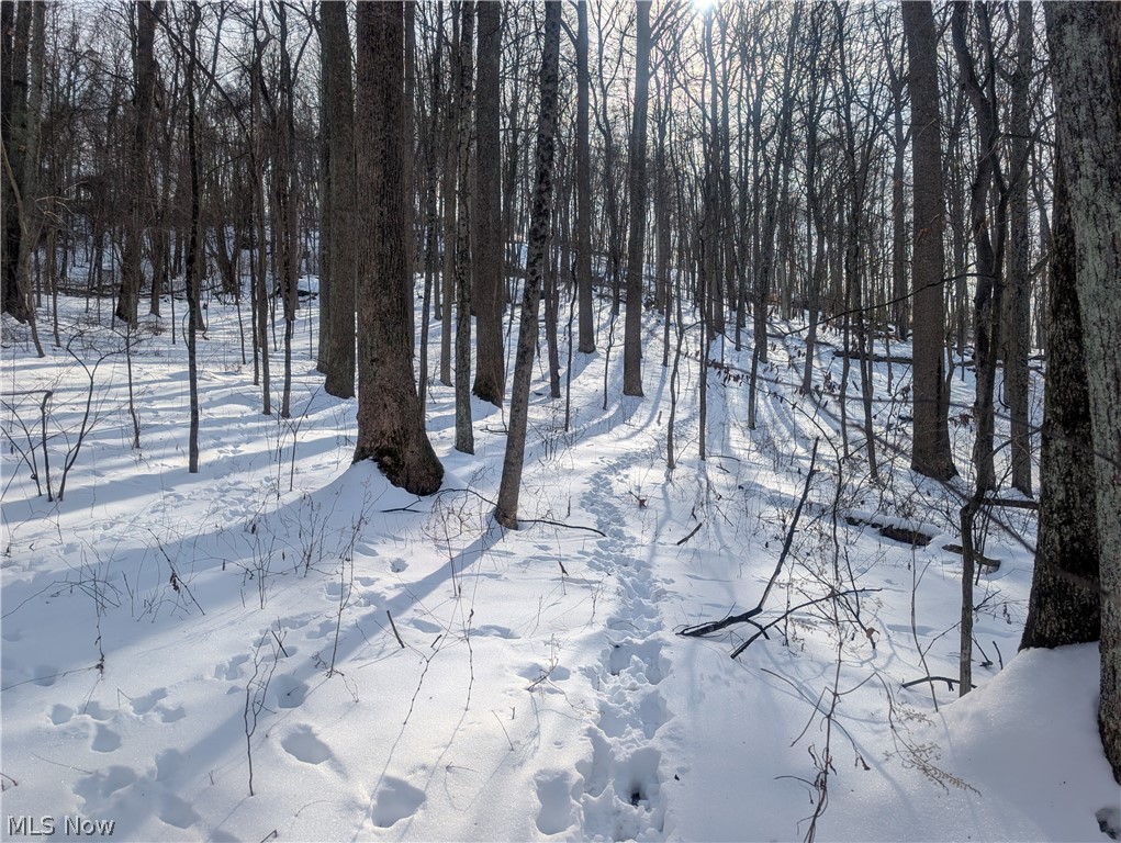 0 Tract 11 Miltonsburg-calais Road Woodsfield OH 43793