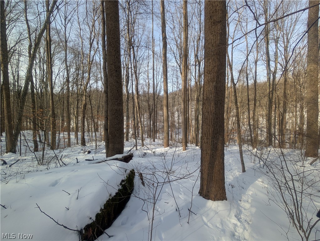 0 Tract 11 Miltonsburg-calais Road Woodsfield OH 43793