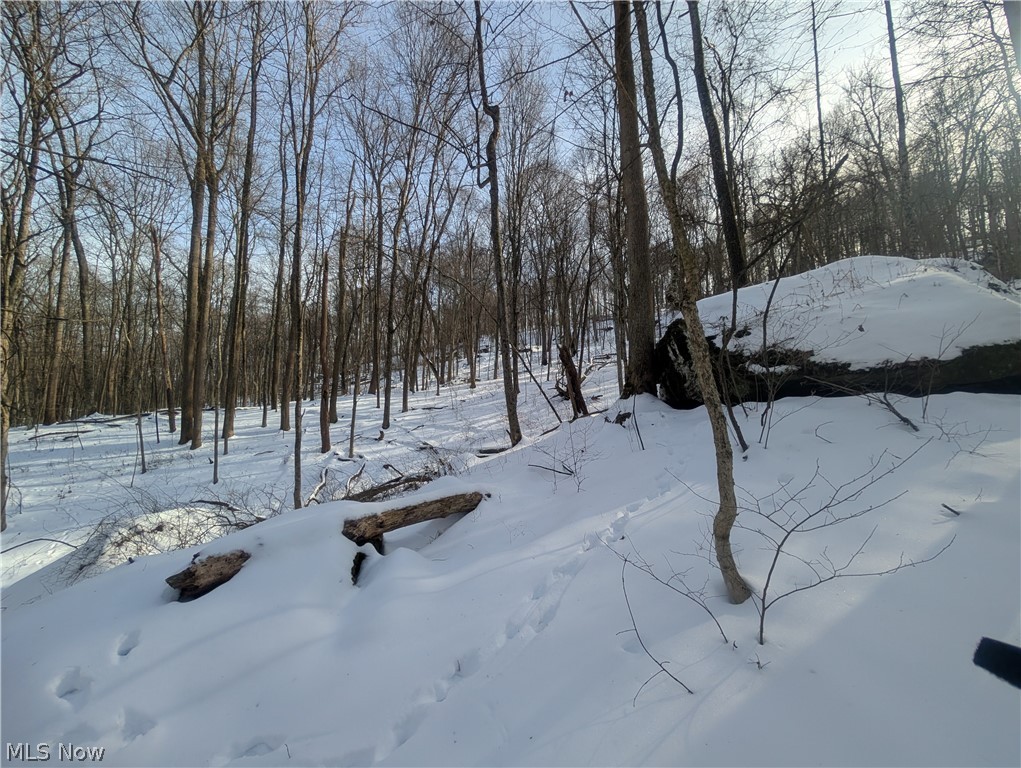 0 Tract 11 Miltonsburg-calais Road Woodsfield OH 43793