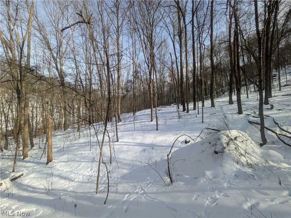 0 Tract 11 Miltonsburg-calais Road Woodsfield OH 43793
