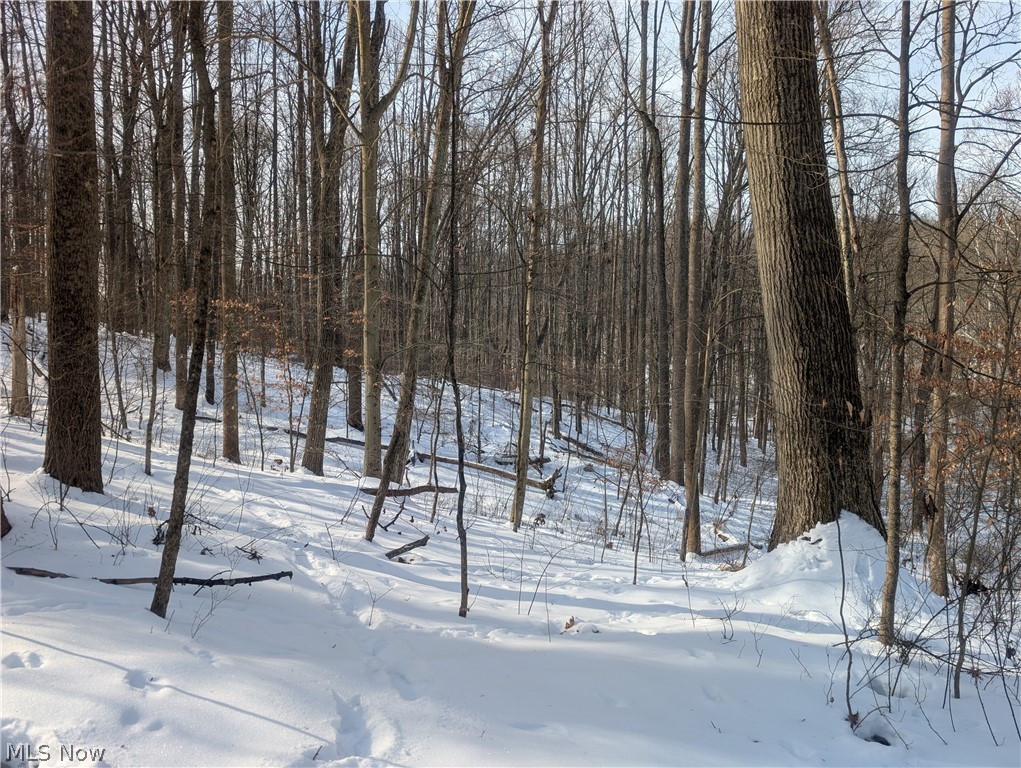 0 Tract 11 Miltonsburg-calais Road Woodsfield OH 43793