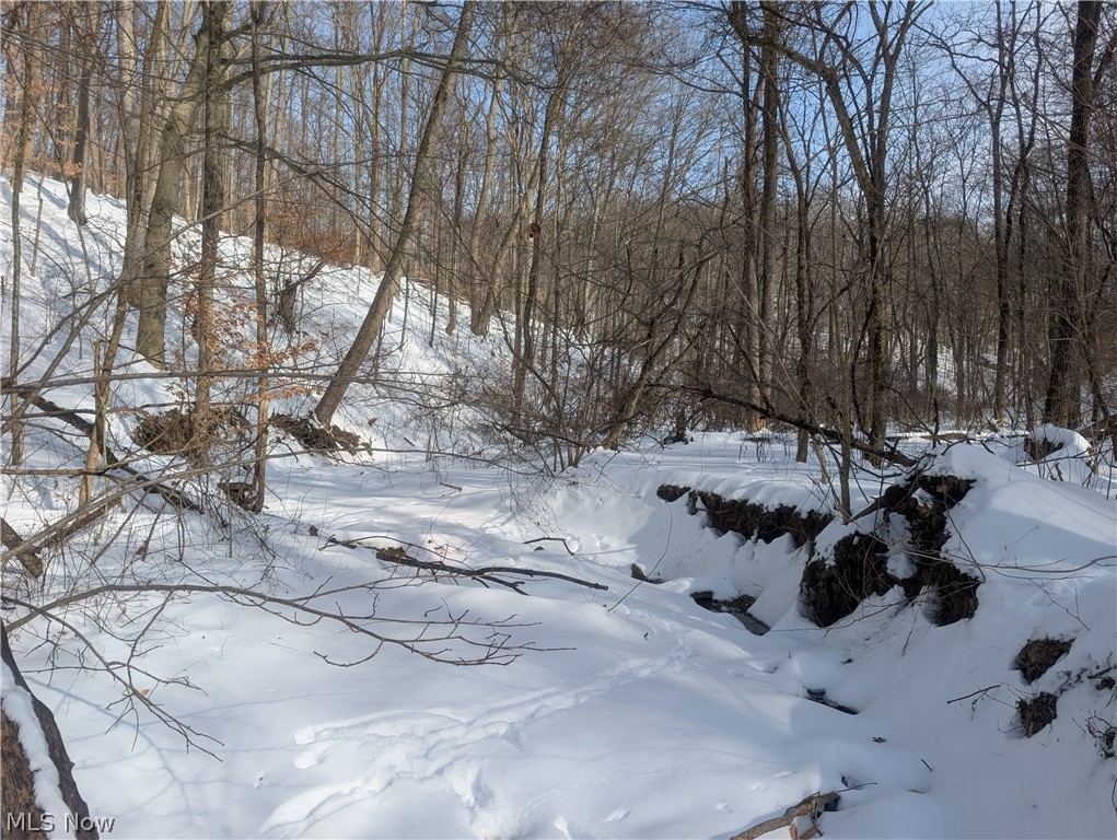0 Tract 11 Miltonsburg-calais Road Woodsfield OH 43793
