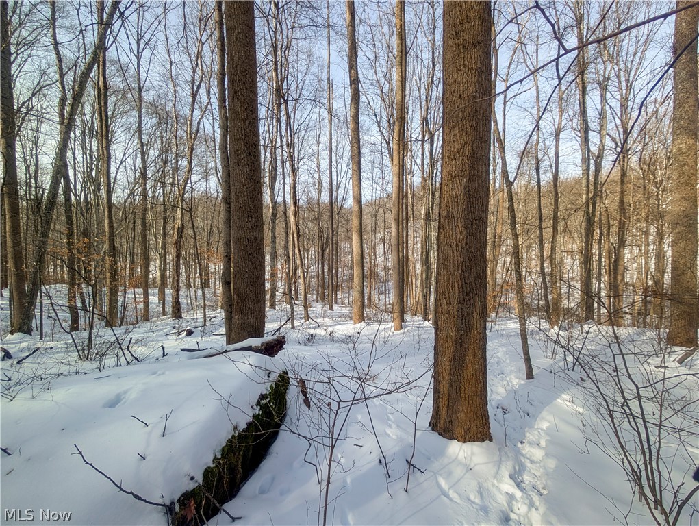0 Tract 11 Miltonsburg-calais Road Woodsfield OH 43793