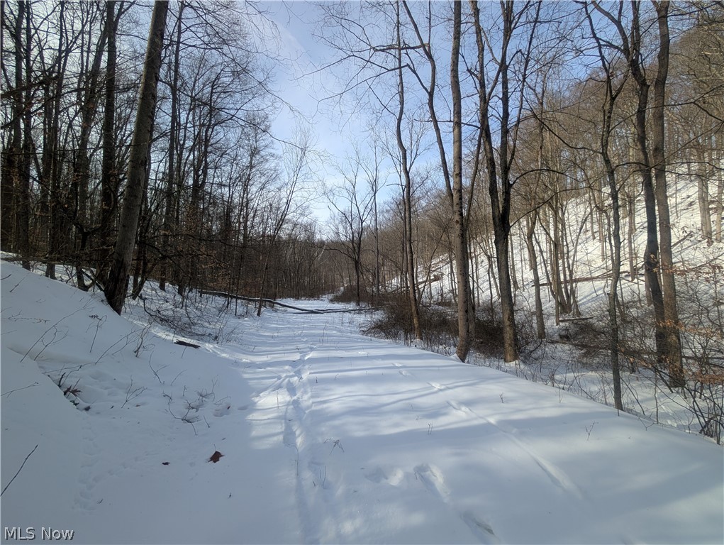 0 Tract 11 Miltonsburg-calais Road Woodsfield OH 43793