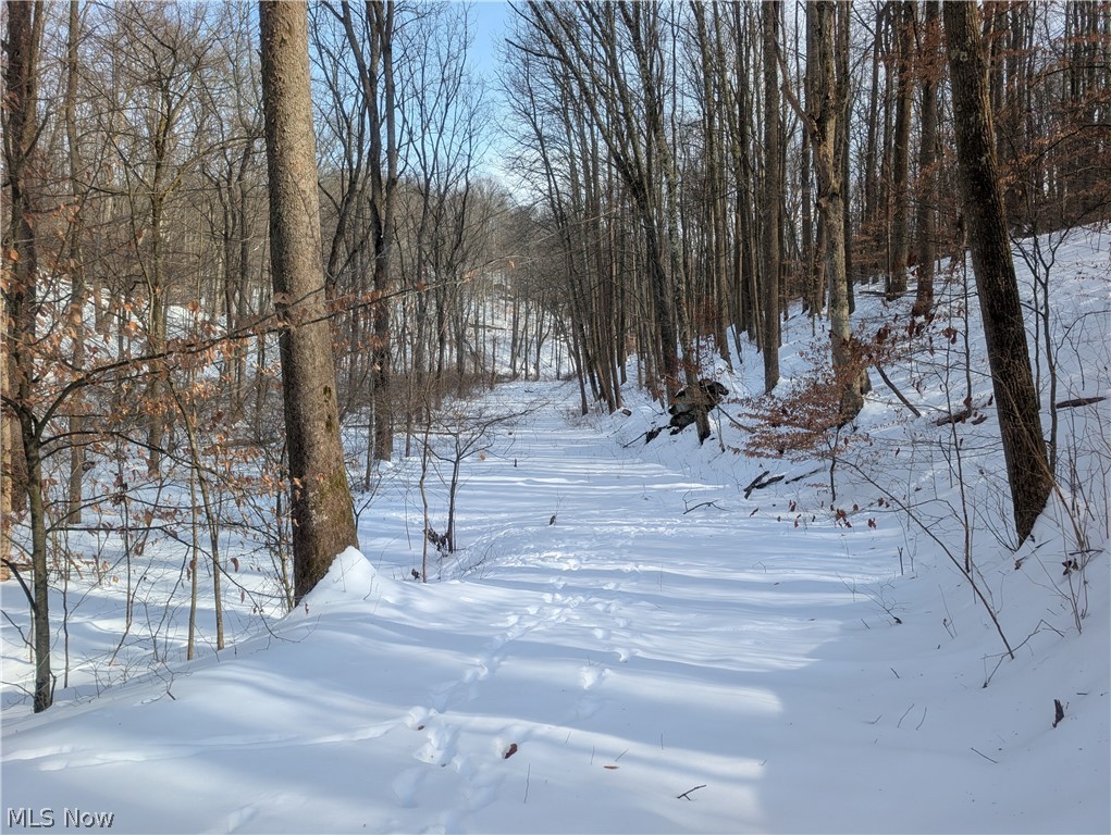 0 Tract 11 Miltonsburg-calais Road Woodsfield OH 43793