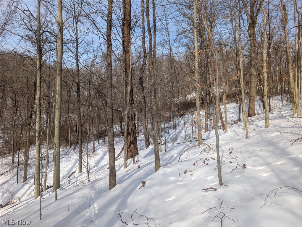 0 Tract 11 Miltonsburg-calais Road Woodsfield OH 43793