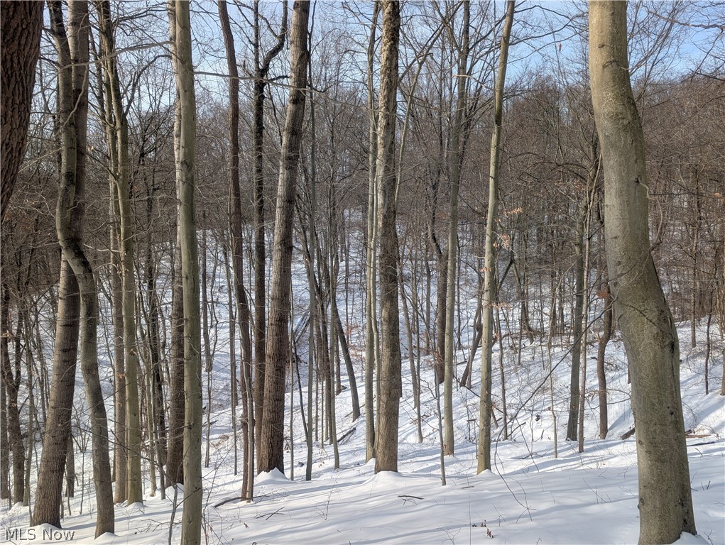 0 Tract 11 Miltonsburg-calais Road Woodsfield OH 43793