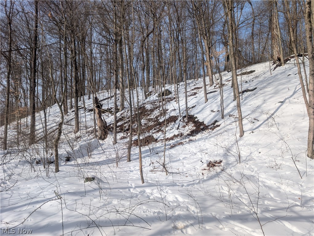 0 Tract 11 Miltonsburg-calais Road Woodsfield OH 43793