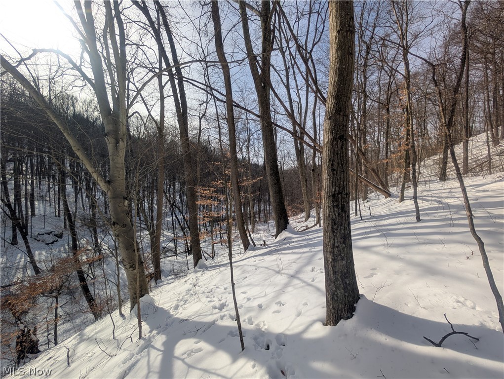 0 Tract 11 Miltonsburg-calais Road Woodsfield OH 43793