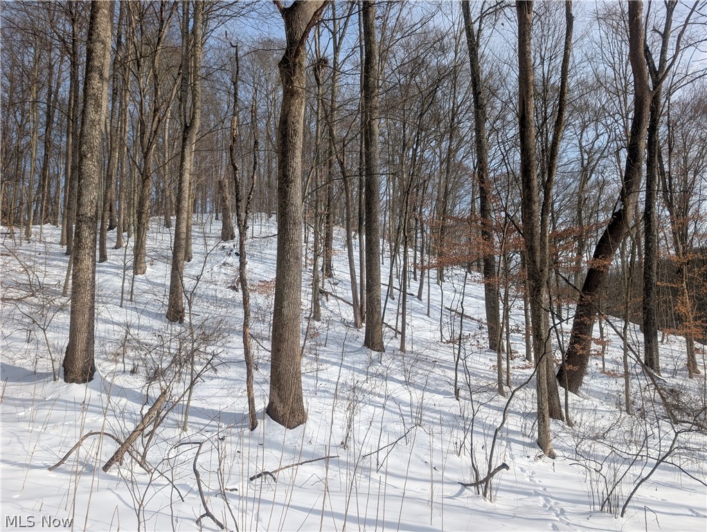 0 Tract 11 Miltonsburg-calais Road Woodsfield OH 43793