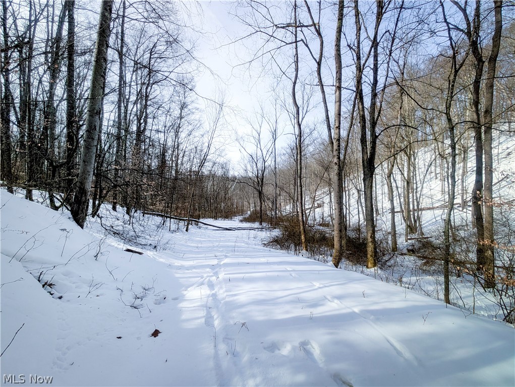 0 Tract 11 Miltonsburg-calais Road Woodsfield OH 43793