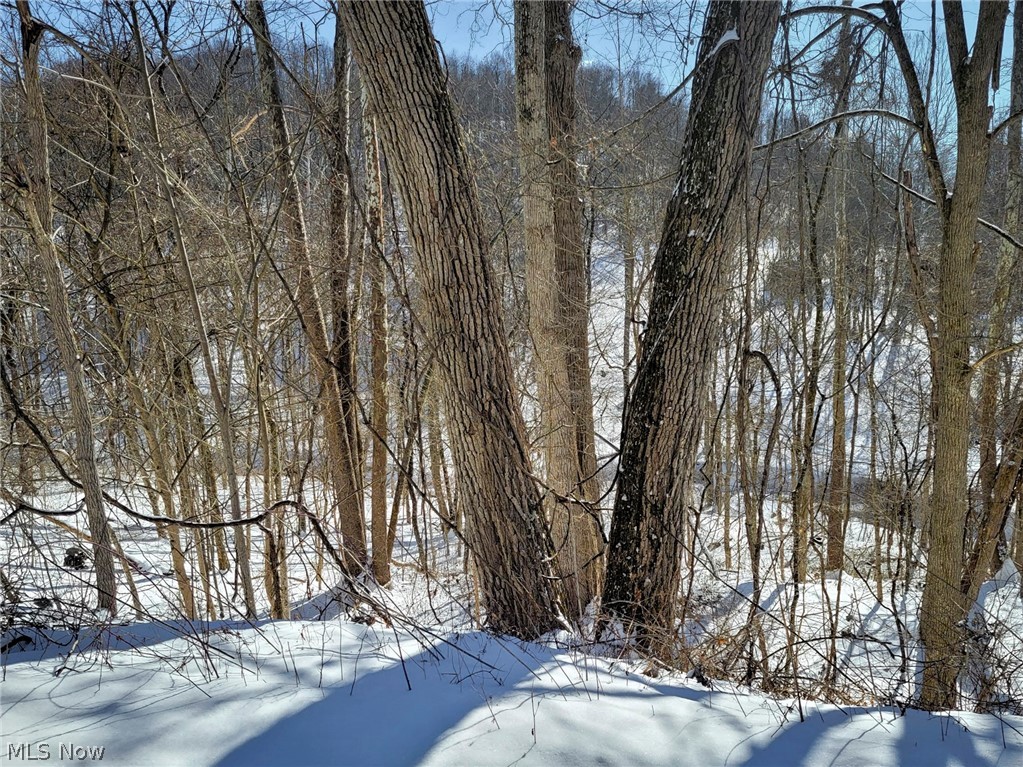 0 Tract 11 Miltonsburg-calais Road Woodsfield OH 43793
