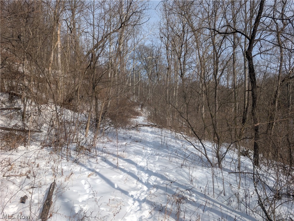0 Tract 11 Miltonsburg-calais Road Woodsfield OH 43793