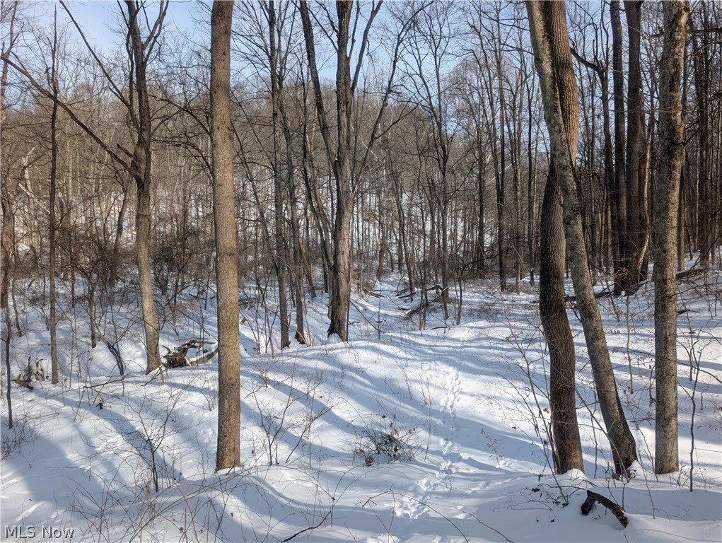 0 Tract 11 Miltonsburg-calais Road Woodsfield OH 43793