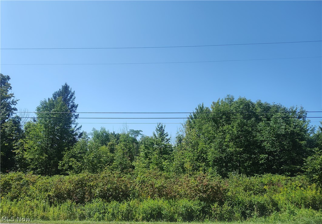 Vl State Road Kingsville OH 44048