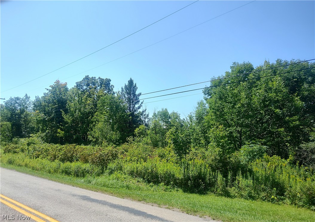 Vl State Road Kingsville OH 44048