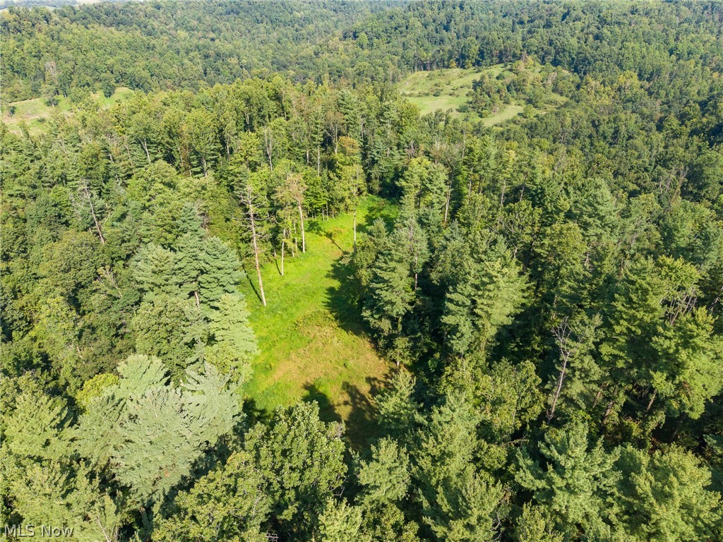 Pumpkin Ridge Road Quaker City OH 43773