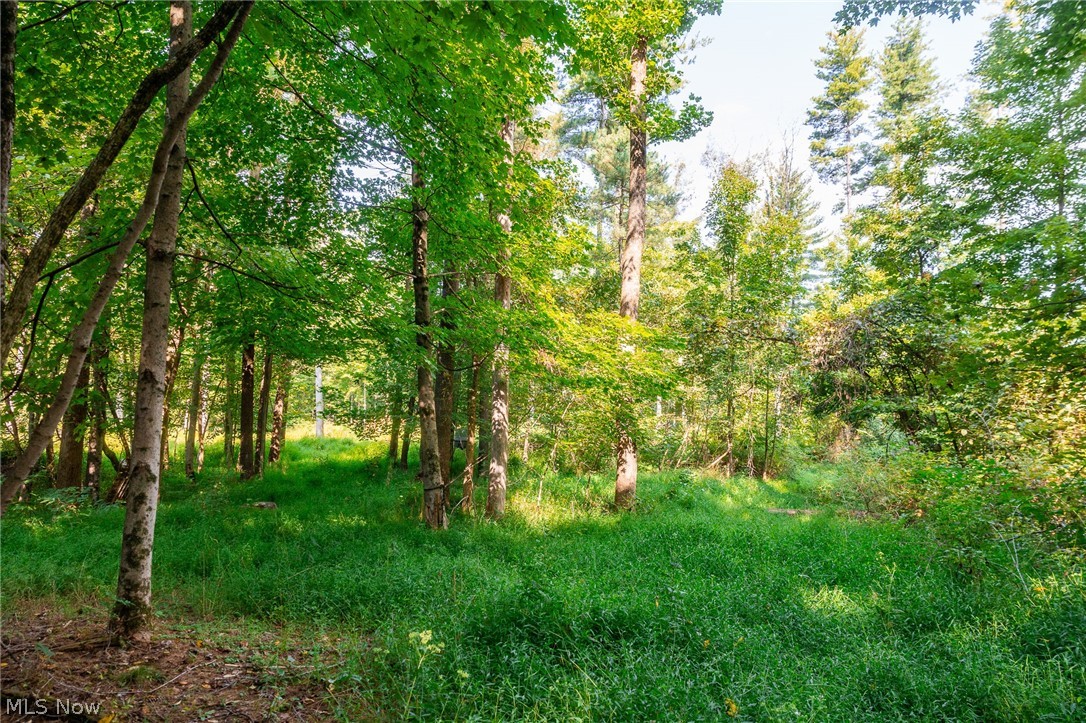 Pumpkin Ridge Road Quaker City OH 43773