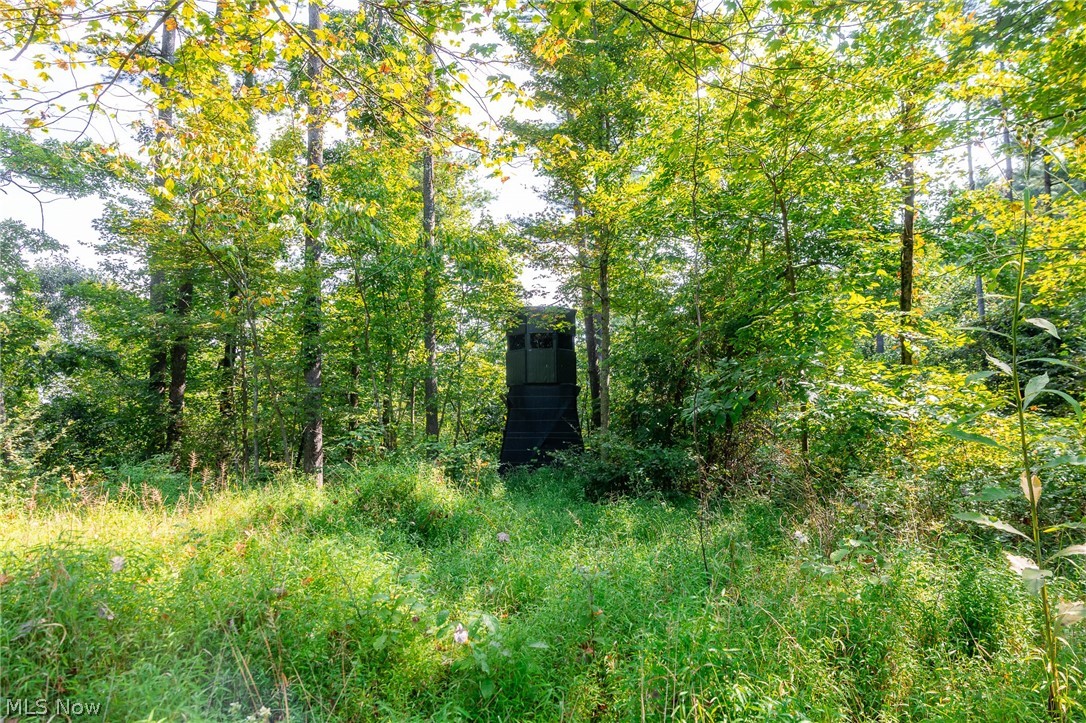Pumpkin Ridge Road Quaker City OH 43773