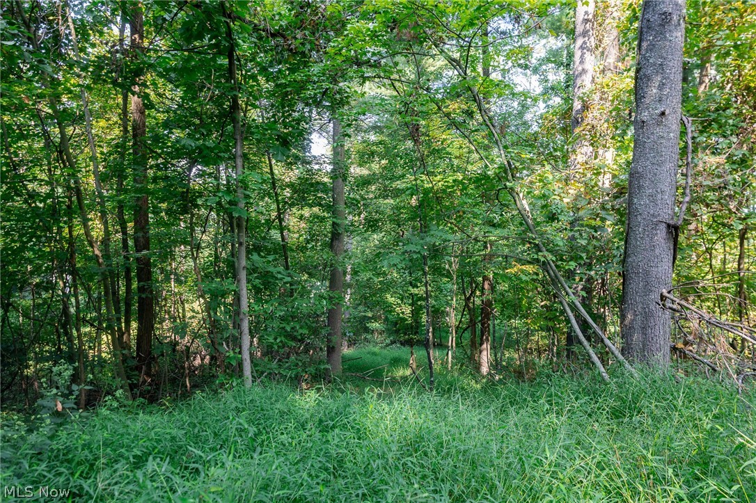 Pumpkin Ridge Road Quaker City OH 43773