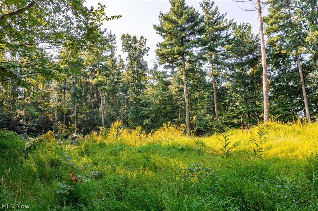 Pumpkin Ridge Road Quaker City OH 43773