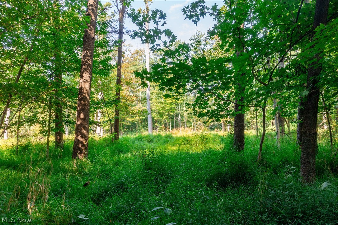 Pumpkin Ridge Road Quaker City OH 43773