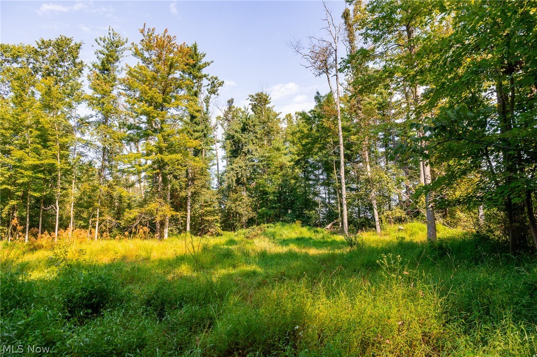 Pumpkin Ridge Road Quaker City OH 43773