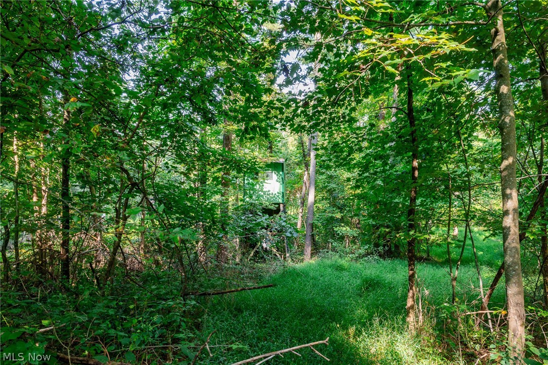 Pumpkin Ridge Road Quaker City OH 43773
