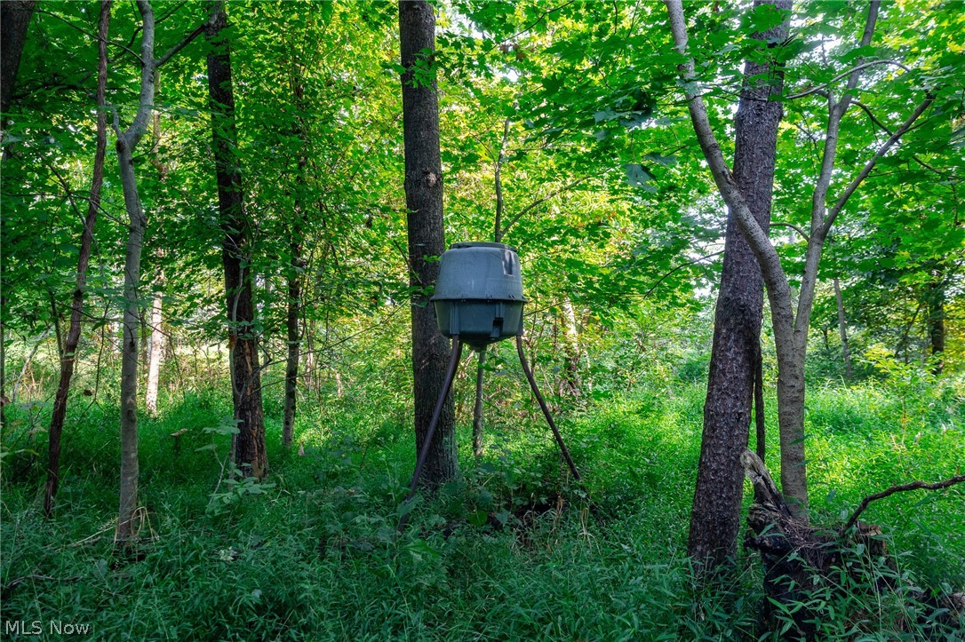 Pumpkin Ridge Road Quaker City OH 43773