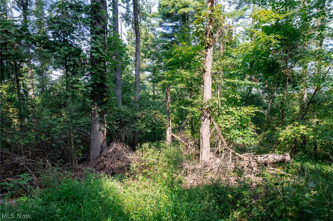 Pumpkin Ridge Road Quaker City OH 43773