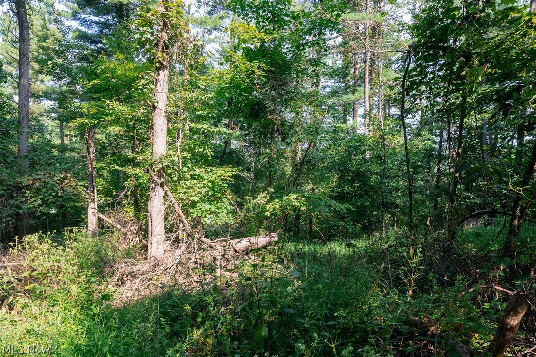 Pumpkin Ridge Road Quaker City OH 43773