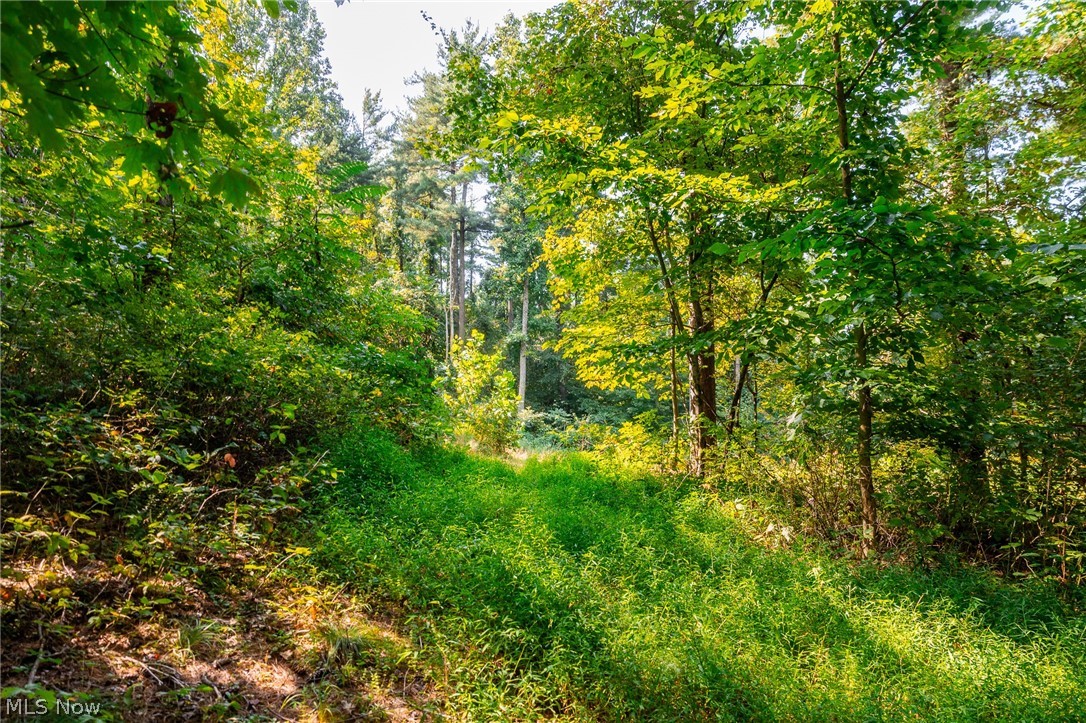 Pumpkin Ridge Road Quaker City OH 43773