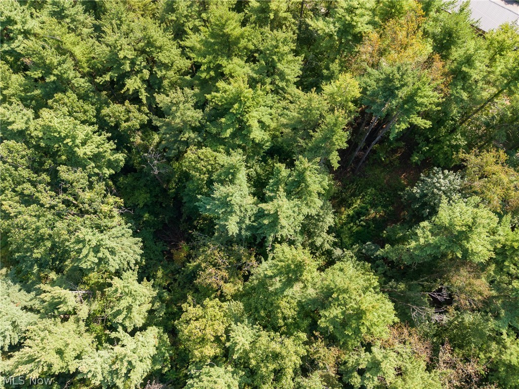 Pumpkin Ridge Road Quaker City OH 43773