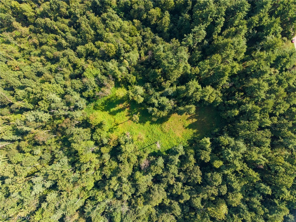 Pumpkin Ridge Road Quaker City OH 43773