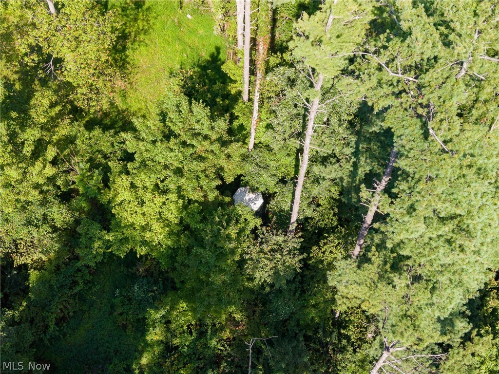 Pumpkin Ridge Road Quaker City OH 43773