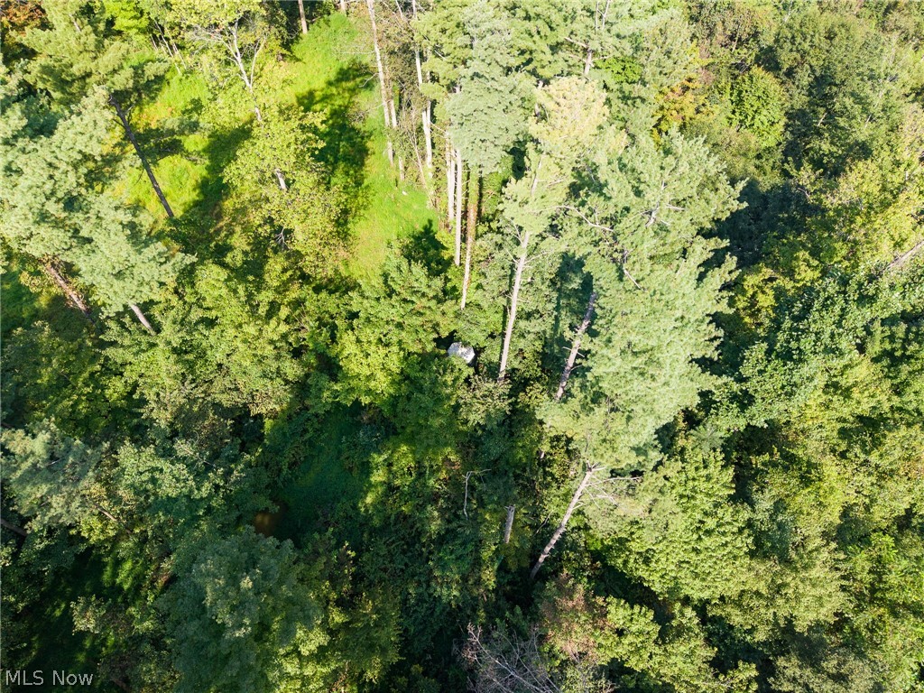 Pumpkin Ridge Road Quaker City OH 43773