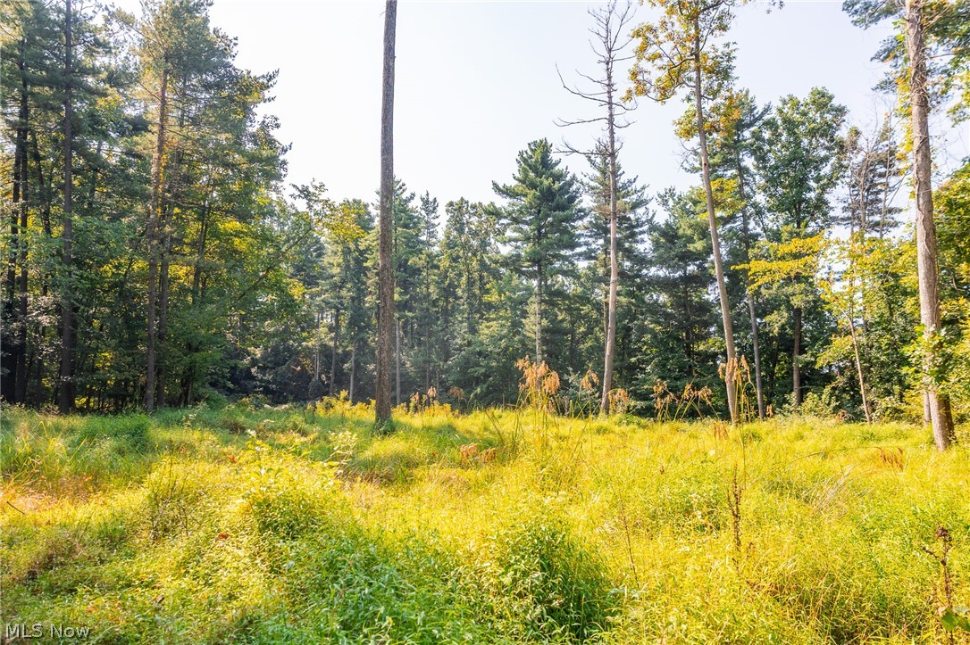 Pumpkin Ridge Road Quaker City OH 43773