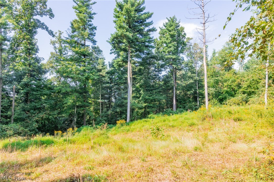 Pumpkin Ridge Road Quaker City OH 43773