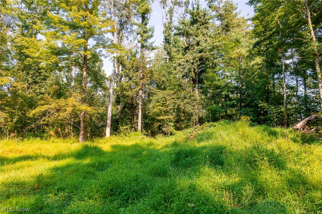 Pumpkin Ridge Road Quaker City OH 43773